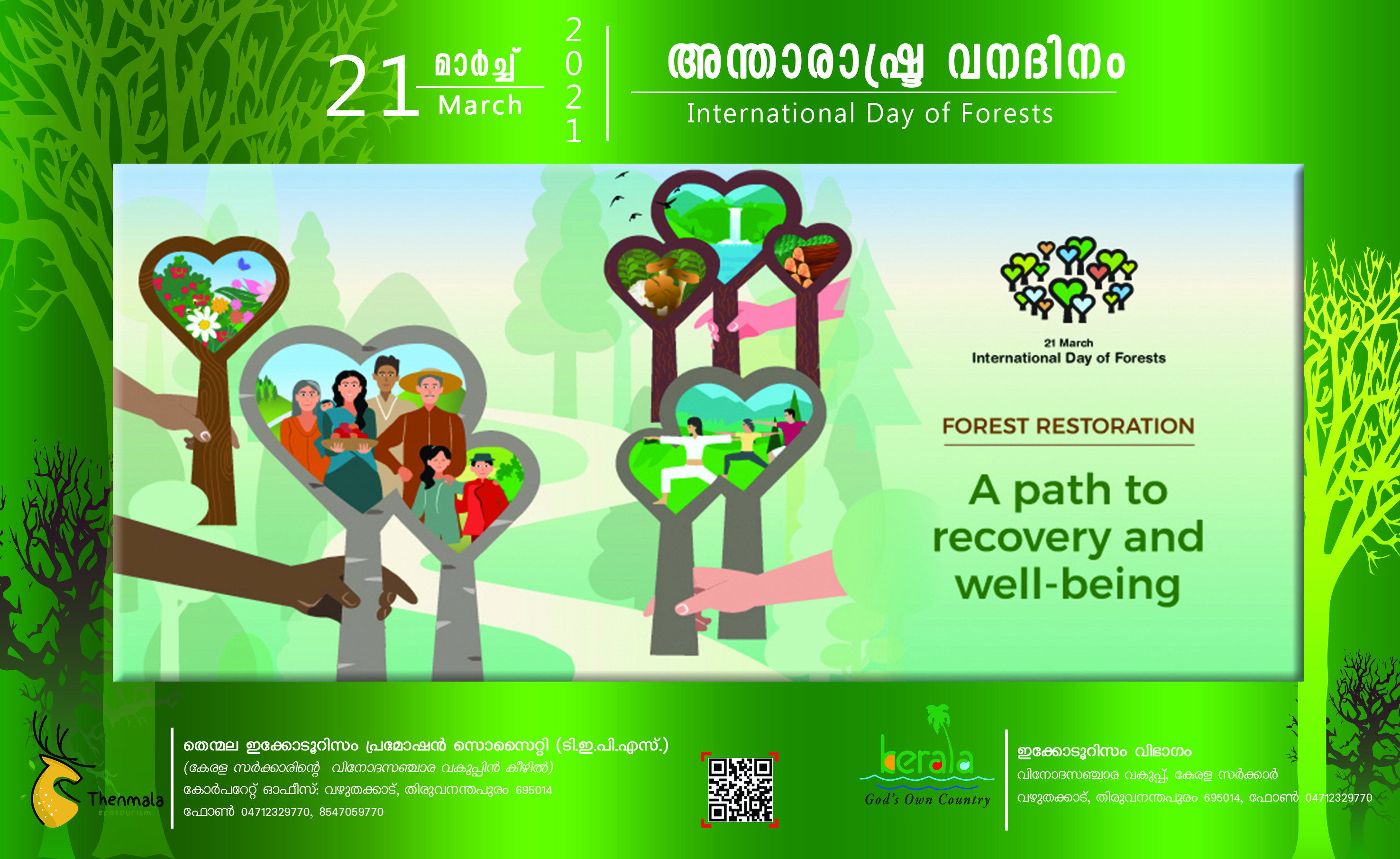 International Forest Day